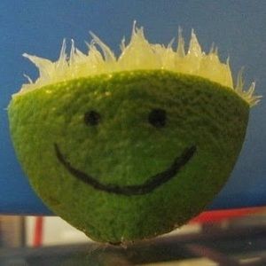 Meet your Posher, Terri